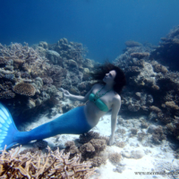 Mermaid (Malediven)